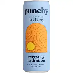 PLUS Punchy Everyday hydration blueberry aanbieding