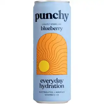 PLUS Punchy Everyday hydration blueberry aanbieding