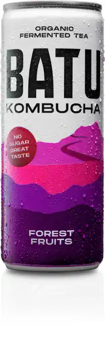 PLUS Batu Kombucha forest fruits aanbieding