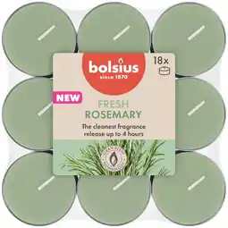 PLUS Bolsius Geurtheelichten 4u True Scents Rosemar aanbieding