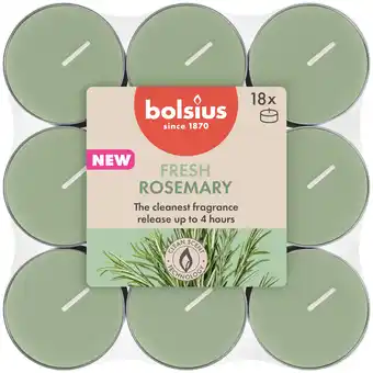 PLUS Bolsius Geurtheelichten 4u True Scents Rosemar aanbieding
