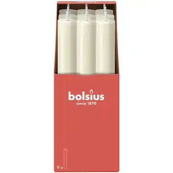 PLUS Bolsius Rustiek tafelkaars XL 9 stuks Soft Pea aanbieding
