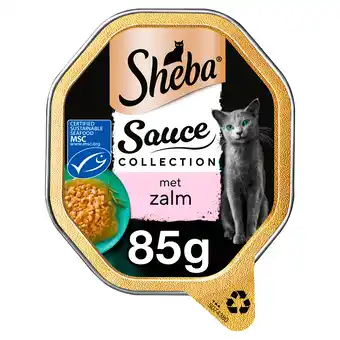 PLUS Sheba sauce Lovers Zalm alu kuipje aanbieding