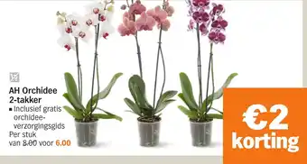 Albert Heijn AH Orchidee 2-takker aanbieding
