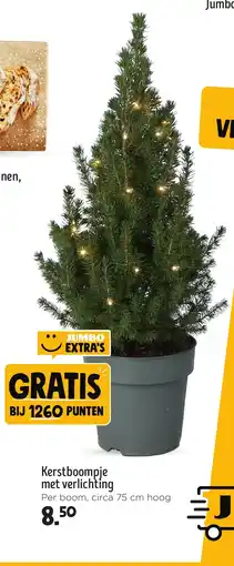 Jumbo Kerstboompje met verlichting aanbieding