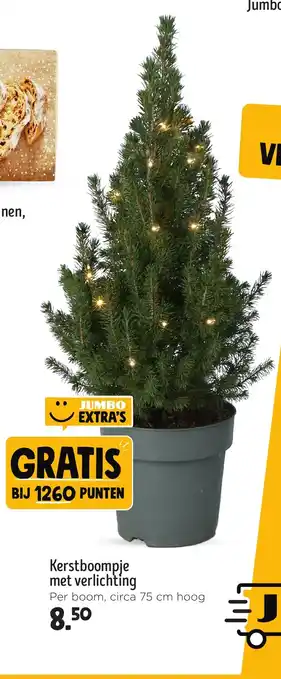 Jumbo Kerstboompje met verlichting aanbieding