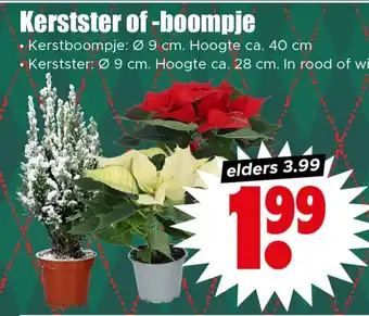 Dirk Kerstster of -boompje aanbieding