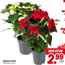 Dekamarkt Kerstster aanbieding