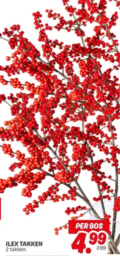 Dekamarkt Ilex Takken aanbieding