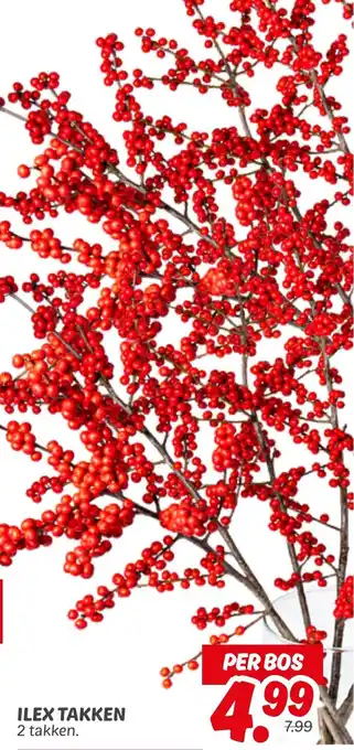 Dekamarkt Ilex Takken aanbieding