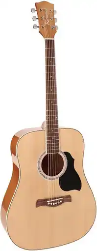 Bol.com Akoestische gitaar Richwood Artist Series Dreadnought RD-12 aanbieding