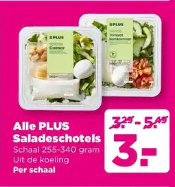 PLUS Alle Plus Saladeschotels aanbieding