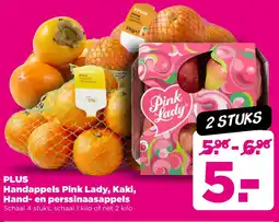 PLUS PLUS Handappels Pink Lady, Kaki, Hand- en perssinaasappels aanbieding