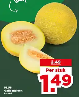 PLUS Plus Galia meloen aanbieding
