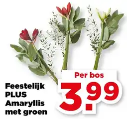 PLUS Feestelijk PLUS Amaryllis met groen aanbieding