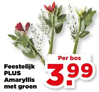 PLUS Feestelijk PLUS Amaryllis met groen aanbieding