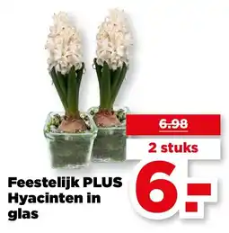 PLUS Feestelijk PLUS Hyacinten in glas aanbieding