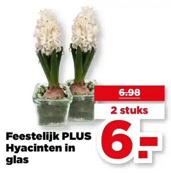 PLUS Feestelijk PLUS Hyacinten in glas aanbieding