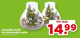 PLUS Feestelijk PLUS Kerstboompje in glas aanbieding