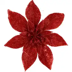 Dirk Poisettia op clip aanbieding