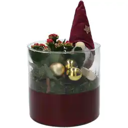 Dirk Kerststuk cilinderglas met kalanchoe en gnoom aanbieding