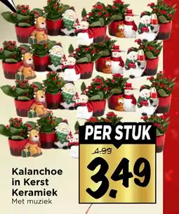 Vomar Voordeelmarkt Kalanchoe in Kerst Keramiek aanbieding