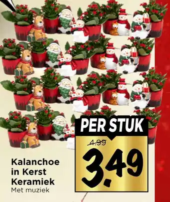 Vomar Voordeelmarkt Kalanchoe in Kerst Keramiek aanbieding