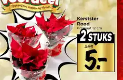 Vomar Voordeelmarkt Kerstster Rood aanbieding