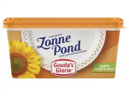 Hoogvliet Gouda's Glorie Zonne Pond aanbieding