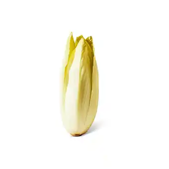 Dekamarkt Hollandse Witlof aanbieding