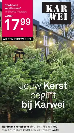 Karwei Nordmann kerstboom aanbieding