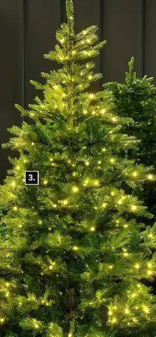 Karwei Kunstkerstboom Minnesota aanbieding