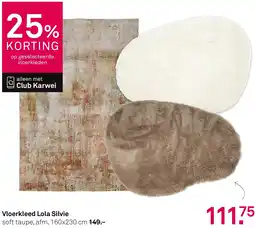 Karwei Vloerkleed Lola Silvie aanbieding