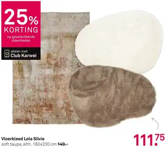 Karwei Vloerkleed Lola Silvie aanbieding