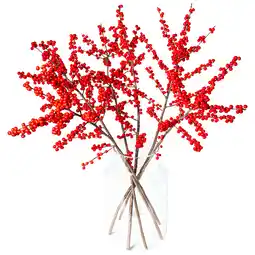 Dekamarkt Ilex tak groot aanbieding