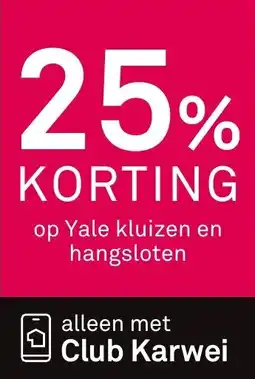 Karwei Op Yale kluizen en hangsloten aanbieding
