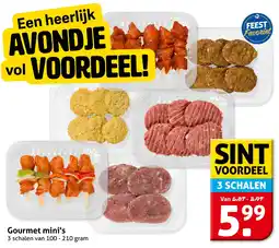 Hoogvliet Gourmet mini's aanbieding