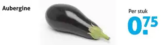 Hoogvliet Aubergine aanbieding