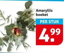 Hoogvliet Amaryllis boeket aanbieding