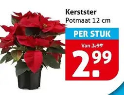 Hoogvliet Kerstster aanbieding
