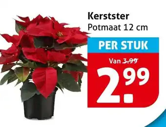 Hoogvliet Kerstster aanbieding