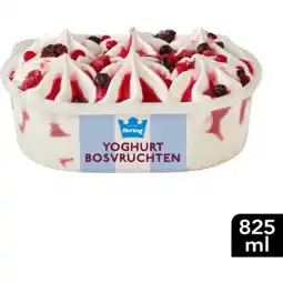 Jumbo Hertog IJs IJssalon Yoghurt Bosvruchten 825ml aanbieding