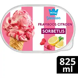 Jumbo Hertog IJssalon Sorbetijs Framboos Citroen 825 ml aanbieding