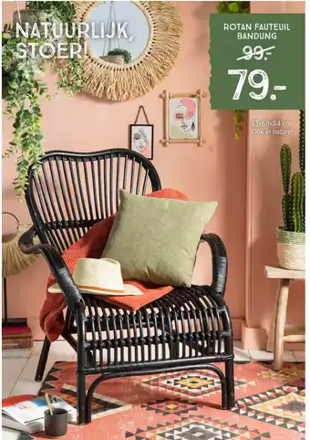 Xenos Rotan fauteuil bandung aanbieding