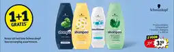 Kruidvat Keuze uit het hele Schwarzkopf haarverzorging assortiment. aanbieding