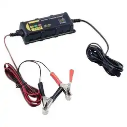 ANWB Dunlop Druppellader opladen accu Zwart aanbieding