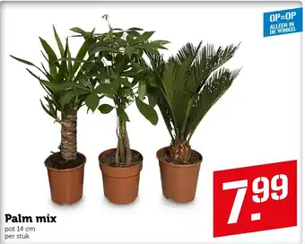 Coop Palm mix aanbieding