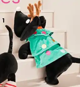 HEMA Verkleedknuffel Takkie of Siepie aanbieding