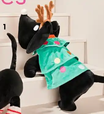 HEMA Verkleedknuffel Takkie of Siepie aanbieding