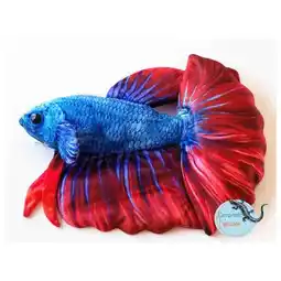 Pets Place Ceramicnature Beta Fish Plush - Knuffel - 17x7x14 cm Blauw Rood Wit aanbieding